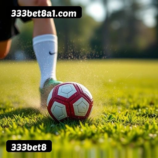 Logo da 333bet8